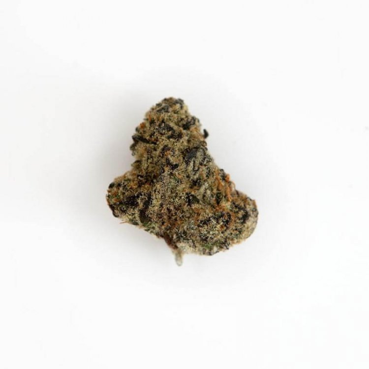 CHOCOLATE LAVA STRAIN A POPULAR DESSERT AND DELIGHTED TO GET HIGH